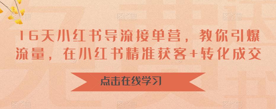 16天小红书导流接单营，教你引爆流量，在小红书精准获客+转化成交-云帆学社