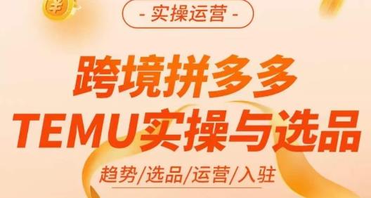 伍跃·跨境拼多多TEMU实操与选品，​趋势/选品/运营/入住（27节完整）-云帆学社