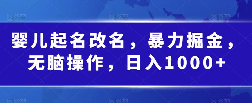 婴儿起名改名，暴力掘金，无脑操作，日入1000+【揭秘】-云帆学社