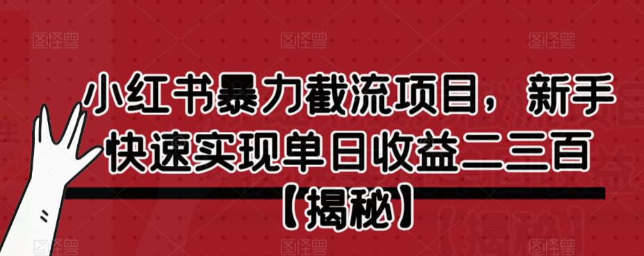 小红书暴力截流项目，新手快速实现单日收益二三百【仅揭秘】-云帆学社