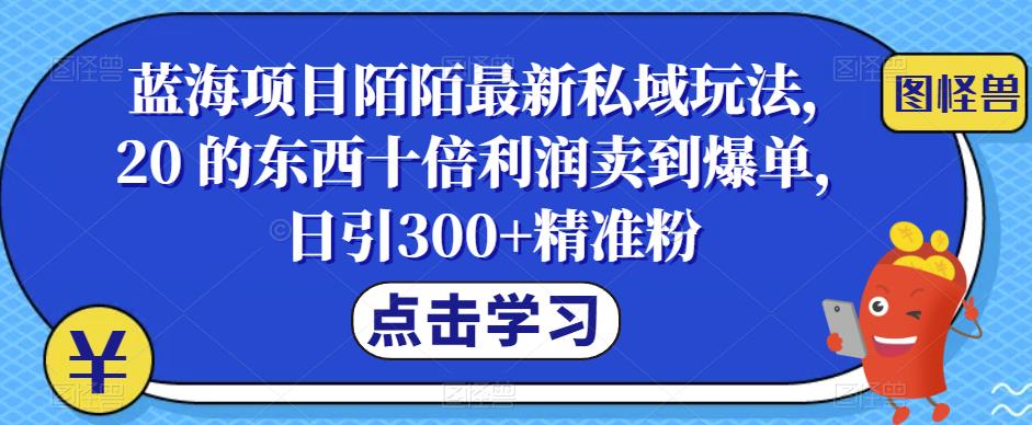 蓝海项目陌陌最新私域玩法，20 的东西十倍利润卖到爆单，日引300+精准粉，一步手机即可操作轻松实现高利润！-云帆学社