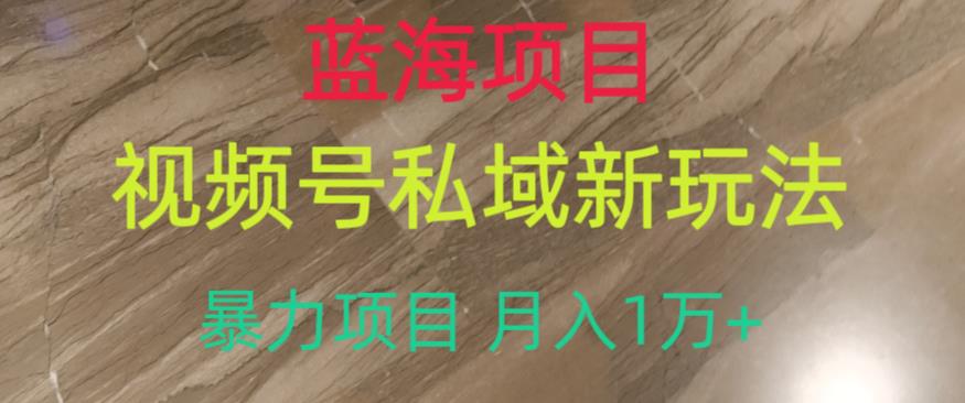 蓝海项目，视频号私域新玩法，暴力项目月入1万+【揭秘】-云帆学社