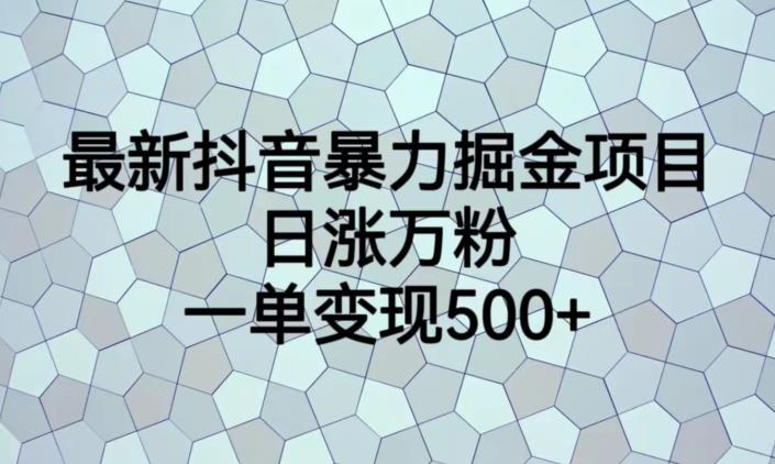 最新抖音暴力掘金项目，日涨万粉，一单变现500+【揭秘】-云帆学社