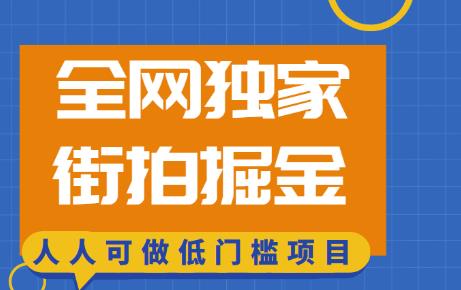 全网独家一街拍掘金，低门槛人人可做的赚钱项目【揭秘】-云帆学社