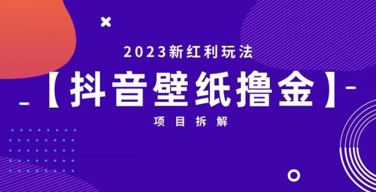 抖音壁纸小程序创作者撸金项目，2023新红利玩法【项目拆解】-云帆学社