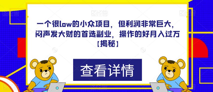 一个很low的小众项目，但利润非常巨大，闷声发大财的首选副业，操作的好月入过万【揭秘】-云帆学社