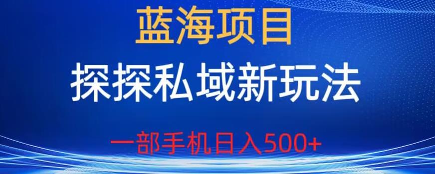 蓝海项目，探探私域新玩法，一部手机日入500+很轻松【揭秘】-云帆学社