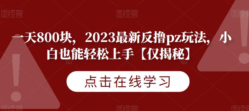 一天800块，2023最新反撸pz玩法，小白也能轻松上手【仅揭秘】-云帆学社