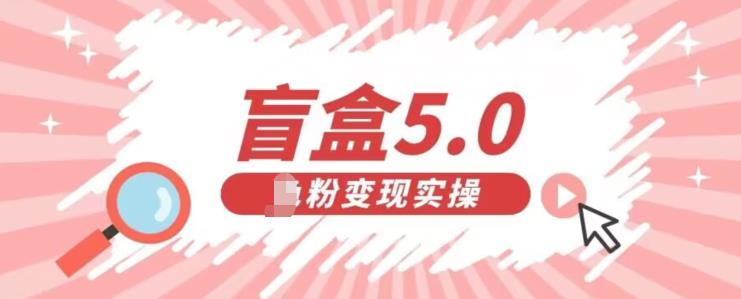 盲盒交友5.0，男粉变现实操项目，亲测变现效果极好【揭秘】-云帆学社