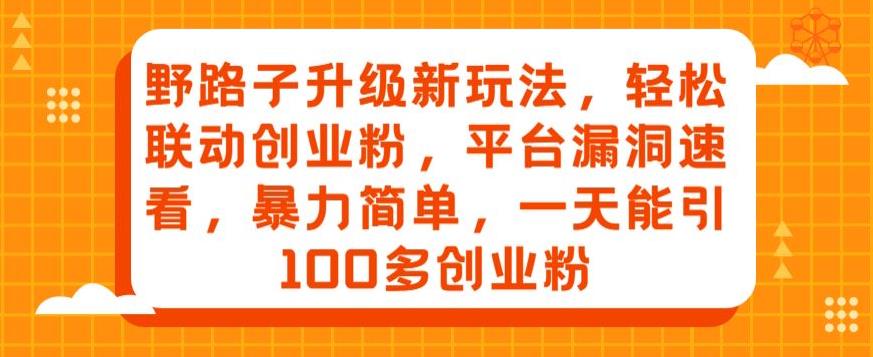 野路子升级新玩法，轻松联动创业粉，平台漏洞速看，暴力简单，一天能引100多创业粉-云帆学社