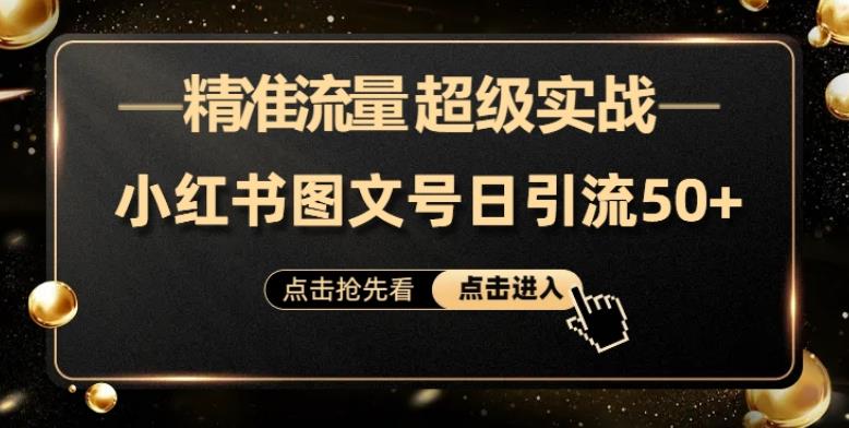 日引50+精准流量，小红书图文号，超级实战的小红书引流课，适合新手小白的项目-云帆学社