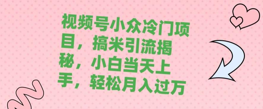 视频号小众冷门项目，搞米引流揭秘，小白当天上手，轻松月入过万-云帆学社