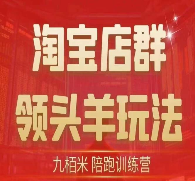 九栢米-淘宝店群领头羊玩法，教你整个淘宝店群领头羊玩法以及精细化/终极蓝海/尾销等内容-云帆学社