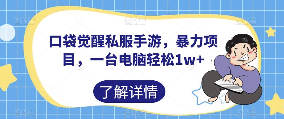 口袋觉醒私服手游，暴力项目，一台电脑轻松1w+【揭秘】-云帆学社