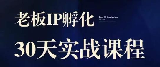 诸葛·2023老板IP实战课，实体同城引流获客，IP孵化必听-云帆学社