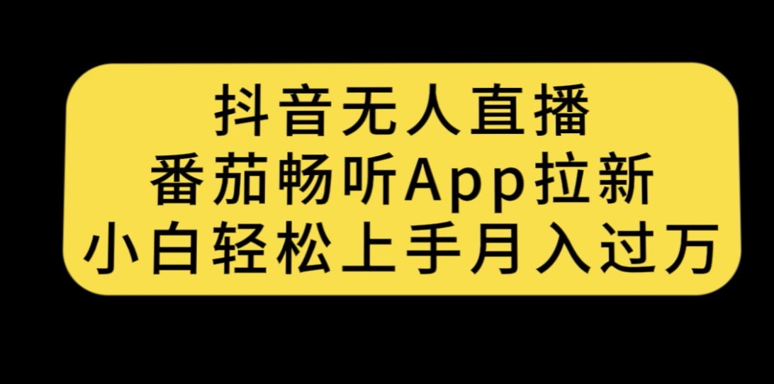 抖音无人直播，番茄畅听APP拉新，小白轻松上手月入过万-云帆学社