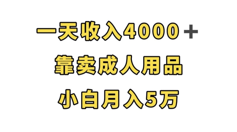 一天收入4000+，靠卖成人用品，小白轻松月入5万【揭秘】-云帆学社