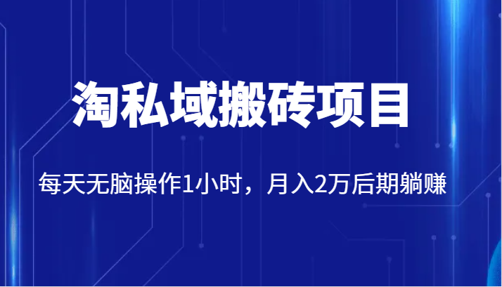 价值2980的淘私域搬砖项目，每天无脑操作1小时，月入2万后期躺赚-云帆学社