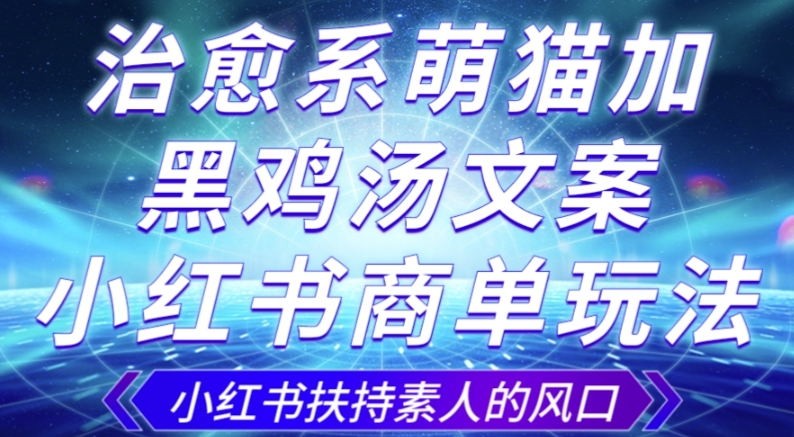 治愈系萌猫加+黑鸡汤文案，小红书商单玩法，3~10天涨到1000粉，一单200左右-云帆学社