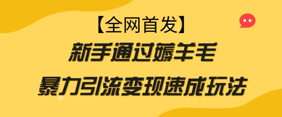 【全网首发】新手通过薅羊毛暴力引流变现速成玩法-云帆学社