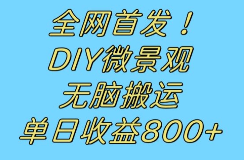 全网首发冷门赛道！DIY微景观，无脑搬运视频，日收益800+【揭秘】-云帆学社