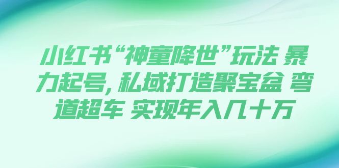 （7673期）小红书“神童降世”玩法 暴力起号,私域打造聚宝盆 弯道超车 实现年入几十万-云帆学社