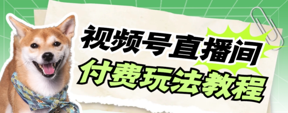 视频号美女付费无人直播，轻松日入500+【详细玩法教程】-云帆学社