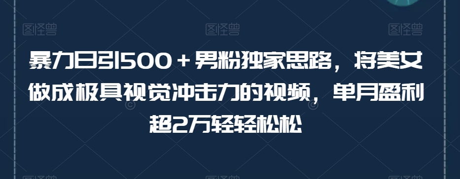 暴力日引500＋男粉独家思路，将美女做成极具视觉冲击力的视频，单月盈利超2万轻轻松松-云帆学社