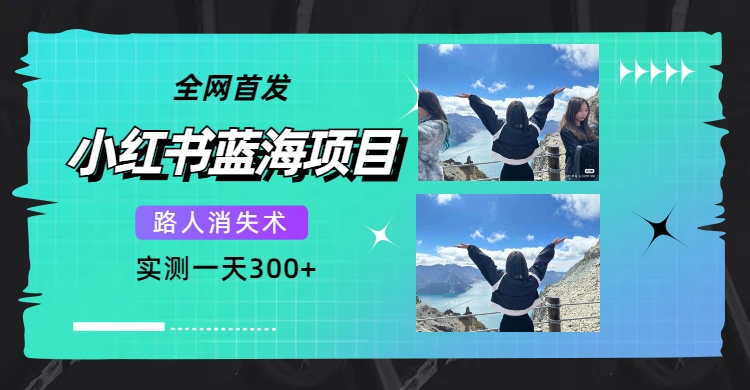 （7537期）全网首发，小红书蓝海项目，路人消失术，实测一天300+（教程+工具）-云帆学社