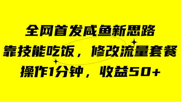 （7508期）咸鱼冷门新玩法，靠“技能吃饭”，修改流量套餐，操作1分钟，收益50+[db:副标题]-云帆学社