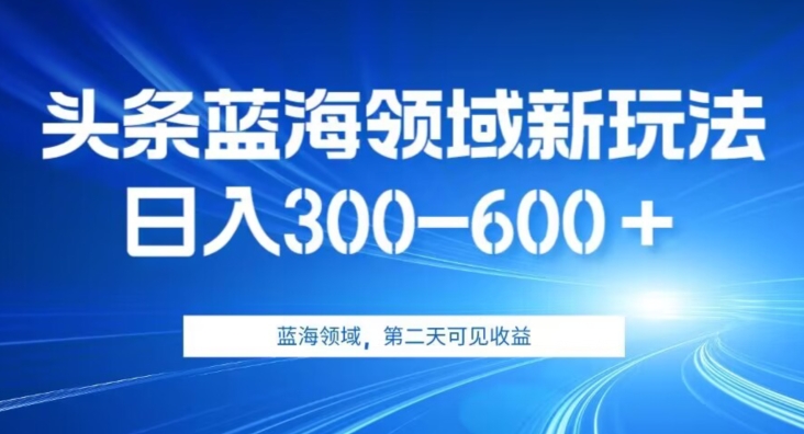 AI头条野路子蓝海领域新玩法2.0，日入300-600＋，附保姆级教程【揭秘】-云帆学社