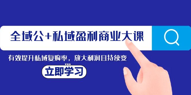 （8045期）全域公+私域盈利商业大课，有效提升私域复购率，放大利润且持续变现-云帆学社