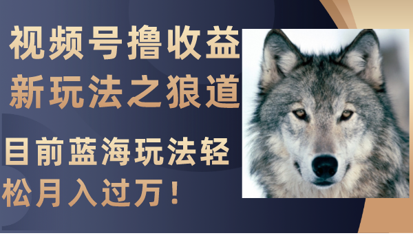 （8042期）视频号撸收益新玩法之狼道，目前蓝海玩法轻松月入过万！-云帆学社