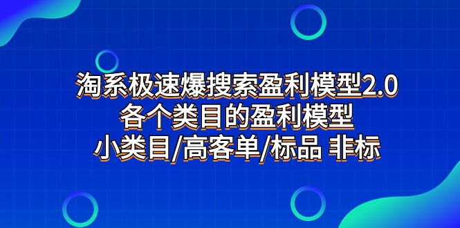 淘系极速爆搜索盈利模型2.0，各个类目的盈利模型，小类目/高客单/标品 非标-云帆学社