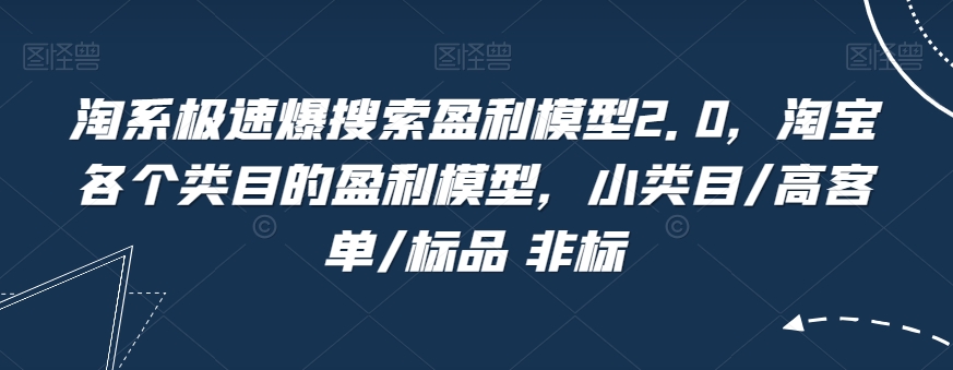 淘系极速爆搜索盈利模型2.0，淘宝各个类目的盈利模型，小类目/高客单/标品 非标-云帆学社