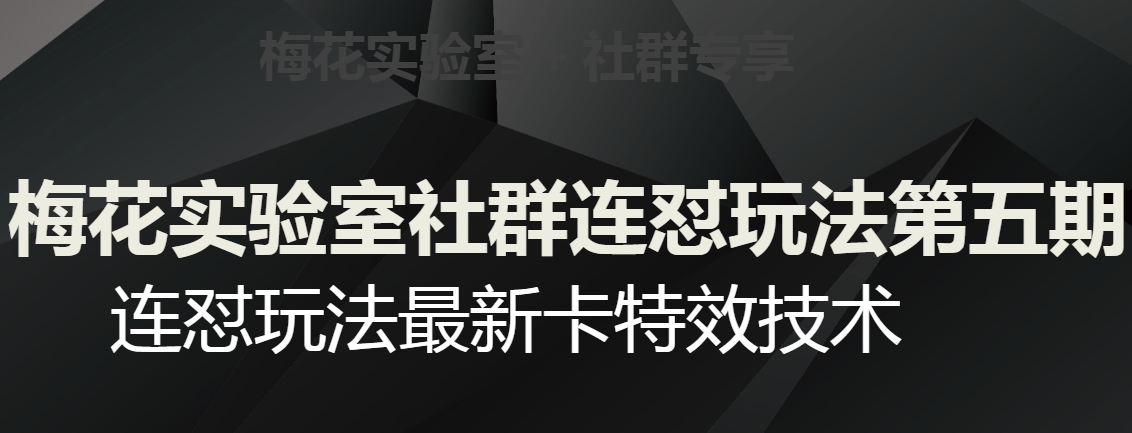 梅花实验室社群连怼玩法第五期，视频号连怼玩法最新卡特效技术-云帆学社