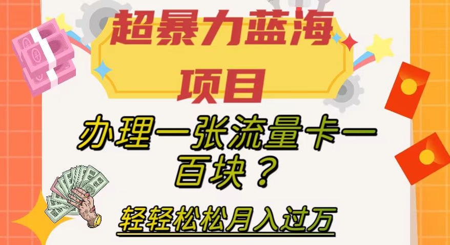 超暴力蓝海项目，办理一张流量卡一百块？轻轻松松月入过万，保姆级教程【揭秘】-云帆学社