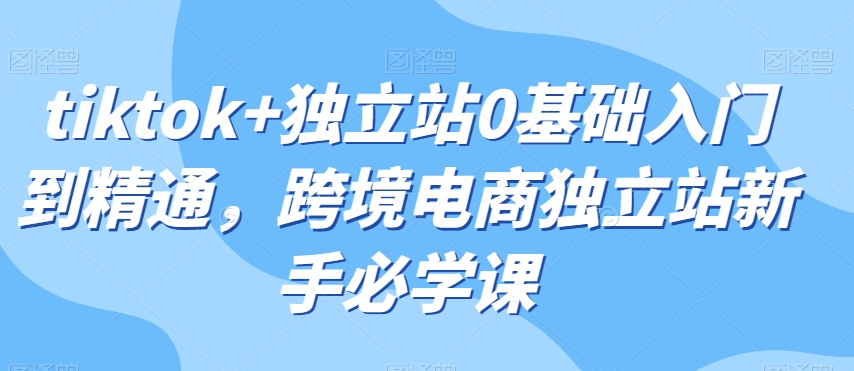 tiktok+独立站0基础入门到精通，跨境电商独立站新手必学课-云帆学社