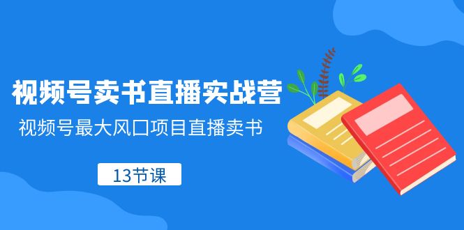 （8080期）视频号-卖书直播实战营，视频号最大风囗项目直播卖书（13节课）-云帆学社