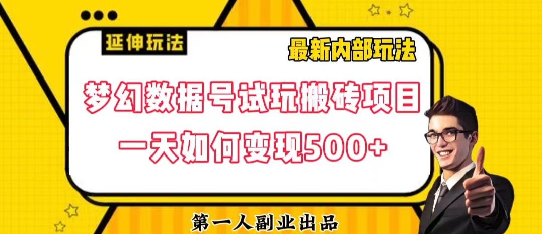 数据号回归玩法游戏试玩搬砖项目再创日入500+【揭秘】-云帆学社