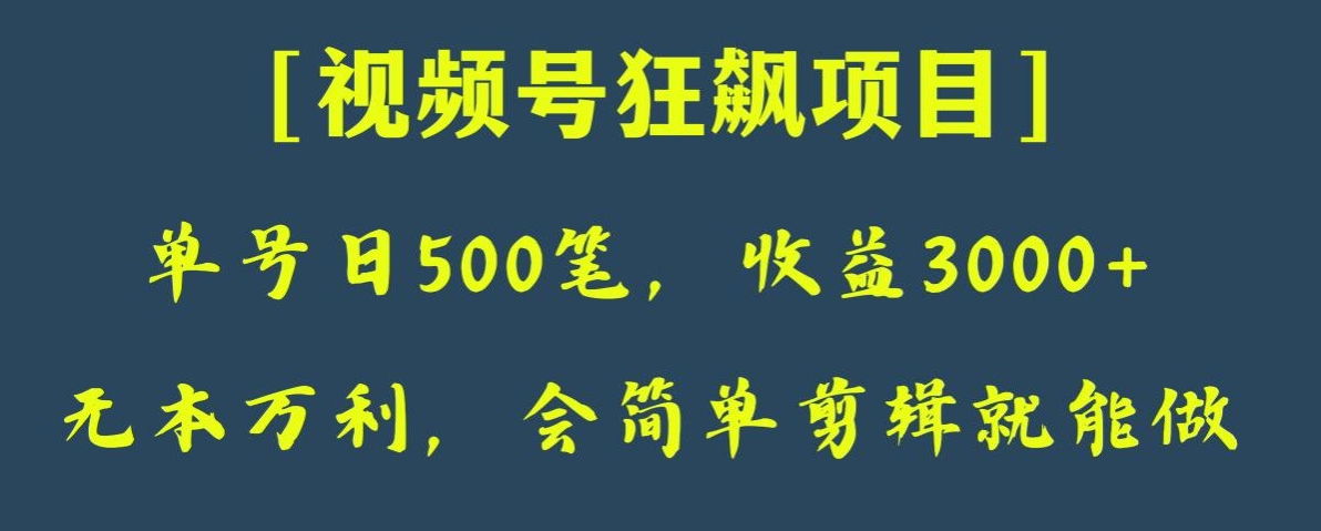 日收款500笔，纯利润3000+，视频号狂飙项目，会简单剪辑就能做【揭秘】-云帆学社