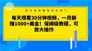 每天观看30分钟视频，一月躺赚1000+美金！保姆级教程，可放大操作【揭秘】-云帆学社