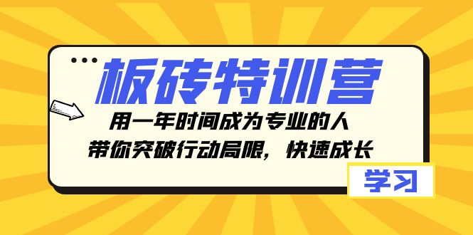 板砖特训营，用一年时间成为专业的人，带你突破行动局限，快速成长-云帆学社