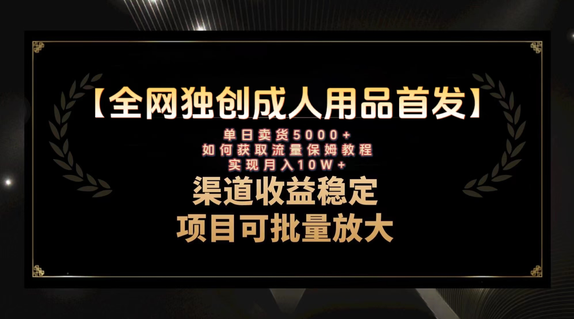 （8128期）最新全网独创首发，成人用品赛道引流获客，月入10w保姆级教程-云帆学社