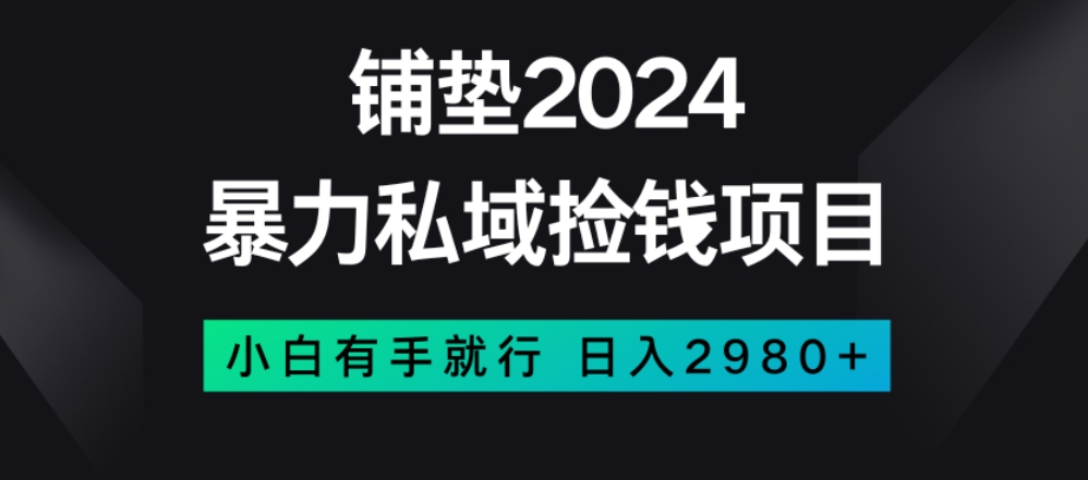 暴力私域捡钱项目，小白无脑操作，日入2980【揭秘】-云帆学社