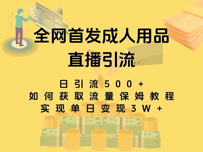 （8193期）最新全网独创首发，成人用品直播引流获客暴力玩法，单日变现3w保姆级教程-云帆学社