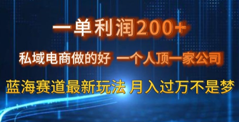 一单利润200私域电商做的好，一个人顶一家公司蓝海赛道最新玩法【揭秘】-云帆学社