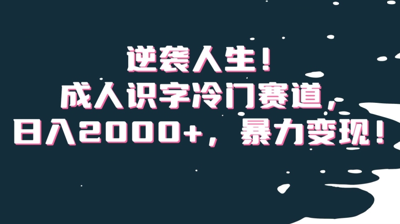 逆袭人生！成人识字冷门赛道，日入2000+，暴力变现！【揭秘】-云帆学社