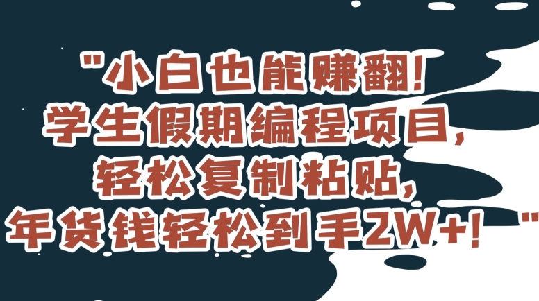 小白也能赚翻！学生假期编程项目，轻松复制粘贴，年货钱轻松到手2W+【揭秘】-云帆学社