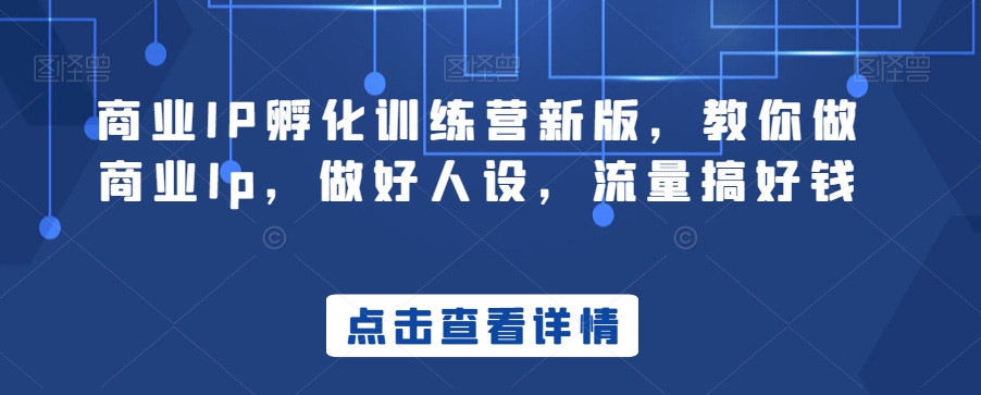 商业IP孵化训练营新版，教你做商业Ip，做好人设，流量搞好钱-云帆学社